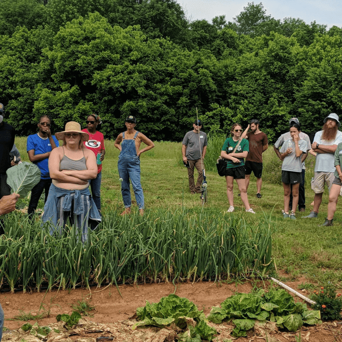 CFSA Lomax Farm Field Day